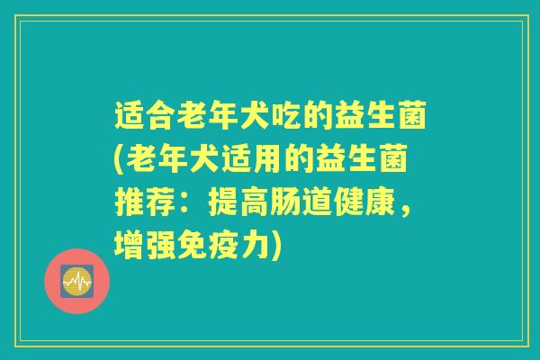 适合老年犬吃的益生菌(老年犬适用的益生菌推荐：提高肠道健康，增强力)