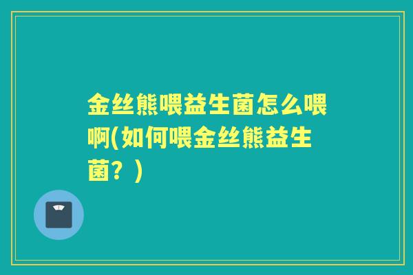 金丝熊喂益生菌怎么喂啊(如何喂金丝熊益生菌？)