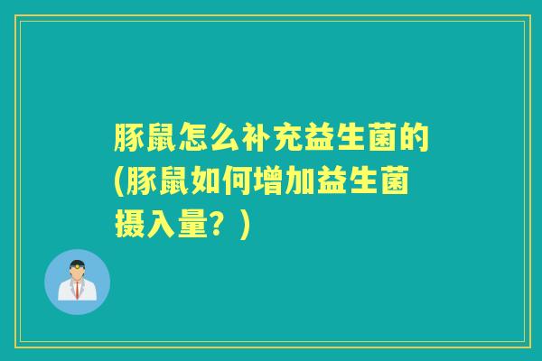 豚鼠怎么补充益生菌的(豚鼠如何增加益生菌摄入量?) 豚鼠怎么补充益生菌的(豚鼠如何增加益生菌摄入量?)