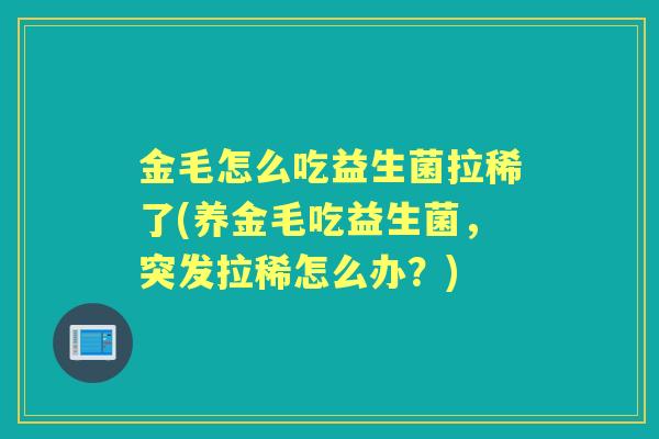 金毛怎么吃益生菌拉稀了(养金毛吃益生菌，突发拉稀怎么办？)