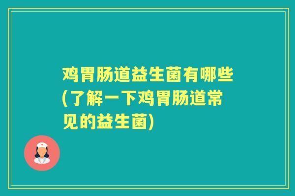 鸡道益生菌有哪些(了解一下鸡道常见的益生菌) 鸡道益生菌有哪些(了解一下鸡道常见的益生菌)
