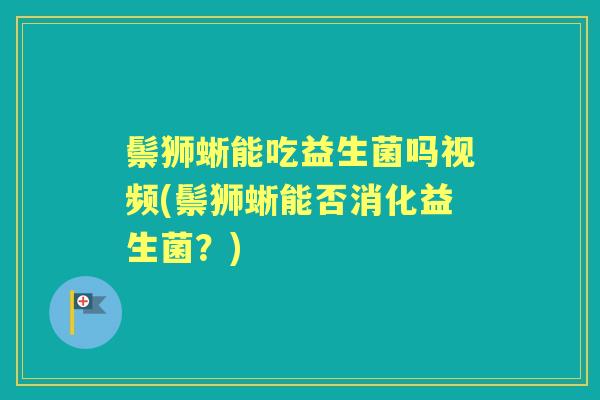 鬃狮蜥能吃益生菌吗视频(鬃狮蜥能否消化益生菌?) 鬃狮蜥能吃益生菌吗视频(鬃狮蜥能否消化益生菌?)