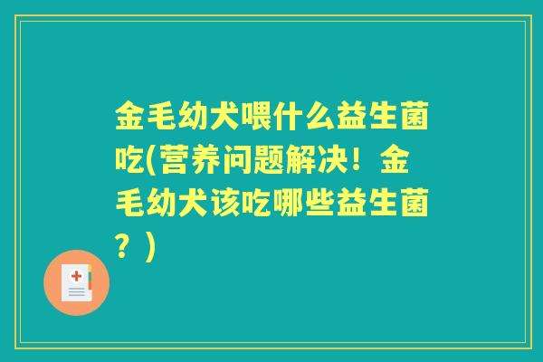 金毛幼犬喂什么益生菌吃(营养问题解决!金毛幼犬该吃哪些益生菌?) 金毛幼犬喂什么益生菌吃(营养问题解决!金毛幼犬该吃哪些益生菌?)