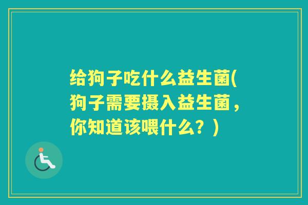 给狗子吃什么益生菌(狗子需要摄入益生菌，你知道该喂什么？)