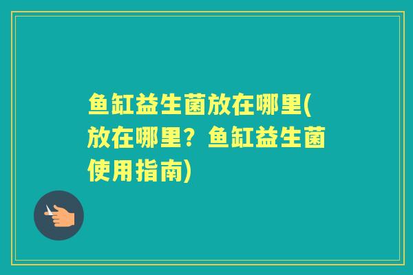 鱼缸益生菌放在哪里(放在哪里?鱼缸益生菌使用指南) 鱼缸益生菌放在哪里(放在哪里?鱼缸益生菌使用指南)