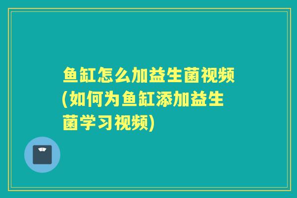 鱼缸怎么加益生菌视频(如何为鱼缸添加益生菌学习视频) 鱼缸怎么加益生菌视频(如何为鱼缸添加益生菌学习视频)