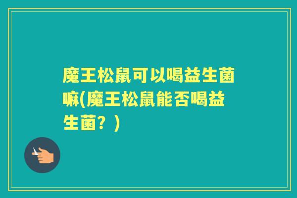 魔王松鼠可以喝益生菌嘛(魔王松鼠能否喝益生菌?) 魔王松鼠可以喝益生菌嘛(魔王松鼠能否喝益生菌?)
