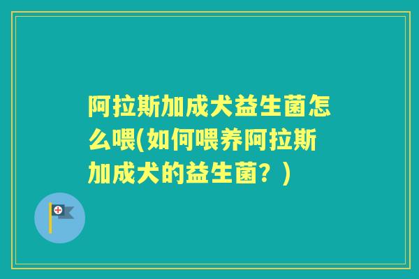 阿拉斯加成犬益生菌怎么喂(如何喂养阿拉斯加成犬的益生菌?) 阿拉斯加成犬益生菌怎么喂(如何喂养阿拉斯加成犬的益生菌?)