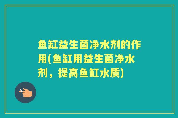 鱼缸益生菌净水剂的作用(鱼缸用益生菌净水剂,提高鱼缸水质) 鱼缸益生菌净水剂的作用(鱼缸用益生菌净水剂,提高鱼缸水质)
