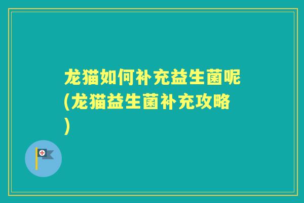 龙猫如何补充益生菌呢(龙猫益生菌补充攻略) 龙猫如何补充益生菌呢(龙猫益生菌补充攻略)