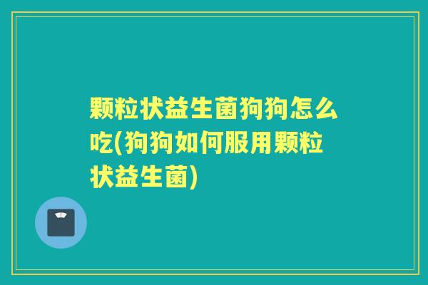 颗粒状益生菌狗狗怎么吃(狗狗如何服用颗粒状益生菌) 颗粒状益生菌狗狗怎么吃(狗狗如何服用颗粒状益生菌)