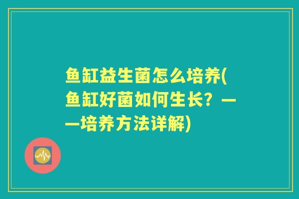 鱼缸益生菌怎么培养(鱼缸好菌如何生长？——培养方法详解)