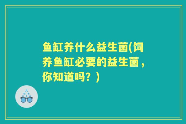鱼缸养什么益生菌(饲养鱼缸必要的益生菌,你知道吗?) 鱼缸养什么益生菌(饲养鱼缸必要的益生菌,你知道吗?)