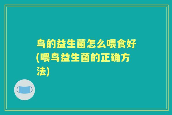鸟的益生菌怎么喂食好(喂鸟益生菌的正确方法)