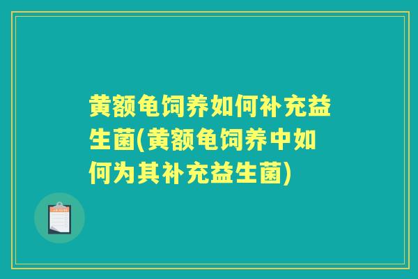 黄额龟饲养如何补充益生菌(黄额龟饲养中如何为其补充益生菌) 黄额龟饲养如何补充益生菌(黄额龟饲养中如何为其补充益生菌)