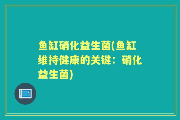 鱼缸硝化益生菌(鱼缸维持健康的关键:硝化益生菌) 鱼缸硝化益生菌(鱼缸维持健康的关键:硝化益生菌)