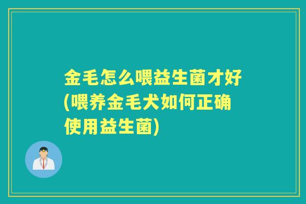 金毛怎么喂益生菌才好(喂养金毛犬如何正确使用益生菌) 金毛怎么喂益生菌才好(喂养金毛犬如何正确使用益生菌)