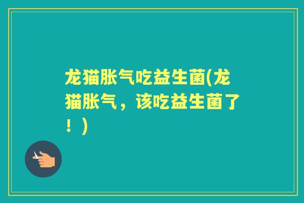 龙猫吃益生菌(龙猫，该吃益生菌了！)