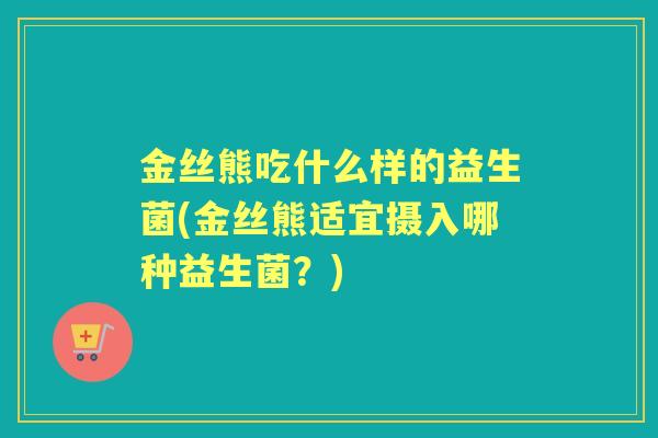 金丝熊吃什么样的益生菌(金丝熊适宜摄入哪种益生菌？)