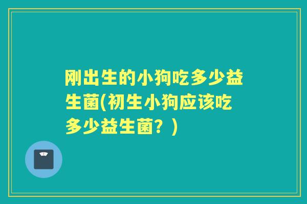 刚出生的小狗吃多少益生菌(初生小狗应该吃多少益生菌?) 刚出生的小狗吃多少益生菌(初生小狗应该吃多少益生菌?)