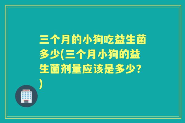 三个月的小狗吃益生菌多少(三个月小狗的益生菌剂量应该是多少?) 三个月的小狗吃益生菌多少(三个月小狗的益生菌剂量应该是多少?)