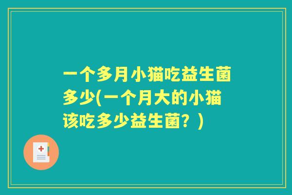 一个多月小猫吃益生菌多少(一个月大的小猫该吃多少益生菌?) 一个多月小猫吃益生菌多少(一个月大的小猫该吃多少益生菌?)