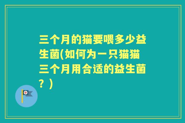 三个月的猫要喂多少益生菌(如何为一只猫猫三个月用合适的益生菌?) 三个月的猫要喂多少益生菌(如何为一只猫猫三个月用合适的益生菌?)