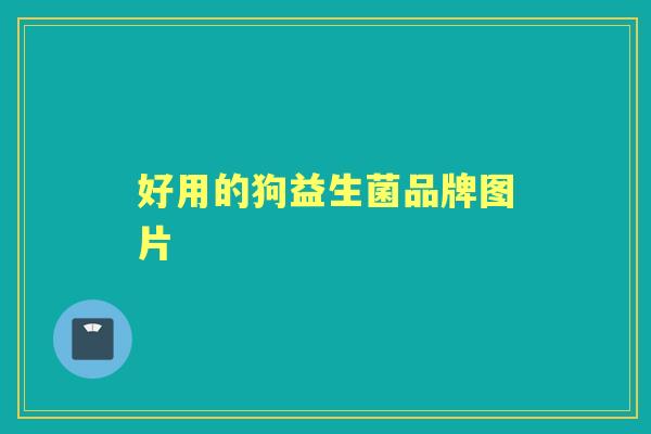 好用的狗益生菌品牌图片 好用的狗益生菌品牌图片