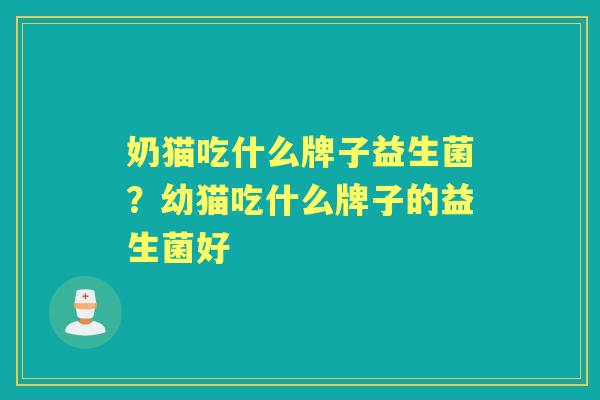 奶猫吃什么牌子益生菌?幼猫吃什么牌子的益生菌好 奶猫吃什么牌子益生菌?幼猫吃什么牌子的益生菌好