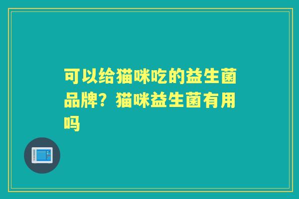 可以给猫咪吃的益生菌品牌?猫咪益生菌有用吗 可以给猫咪吃的益生菌品牌?猫咪益生菌有用吗