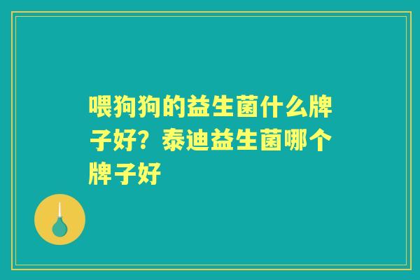 喂狗狗的益生菌什么牌子好?泰迪益生菌哪个牌子好 喂狗狗的益生菌什么牌子好?泰迪益生菌哪个牌子好