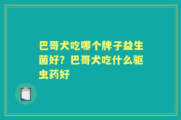 巴哥犬吃哪个牌子益生菌好?巴哥犬吃什么驱虫药好 巴哥犬吃哪个牌子益生菌好?巴哥犬吃什么驱虫药好