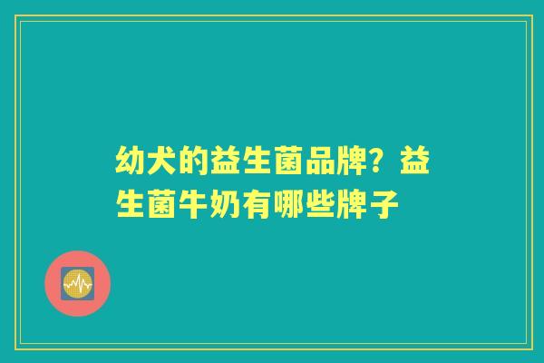 幼犬的益生菌品牌？益生菌牛奶有哪些牌子