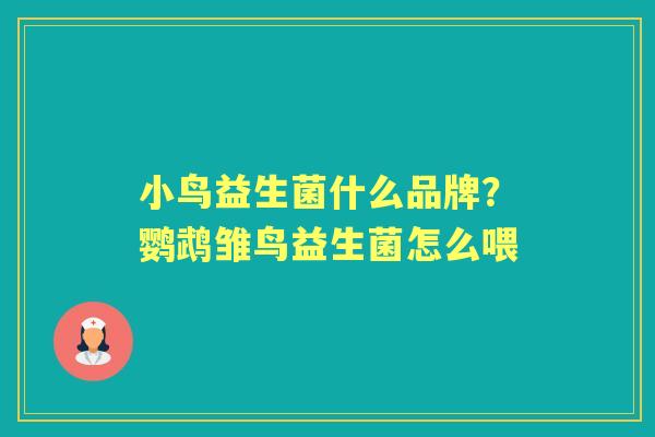 小鸟益生菌什么品牌?鹦鹉雏鸟益生菌怎么喂 小鸟益生菌什么品牌?鹦鹉雏鸟益生菌怎么喂