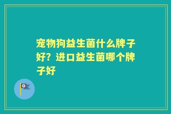 宠物狗益生菌什么牌子好?进口益生菌哪个牌子好 宠物狗益生菌什么牌子好?进口益生菌哪个牌子好