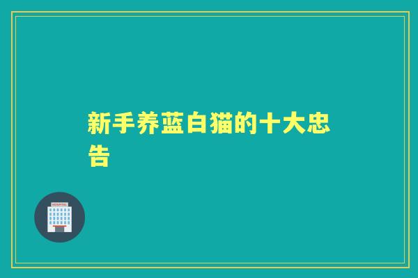 新手养蓝白猫的十大忠告 新手养蓝白猫的十大忠告