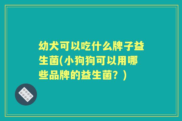 幼犬可以吃什么牌子益生菌(小狗狗可以用哪些品牌的益生菌？)