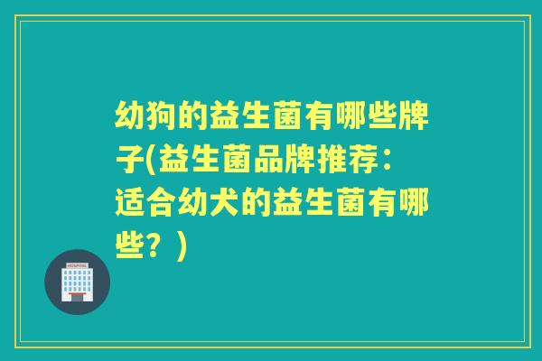 幼狗的益生菌有哪些牌子(益生菌品牌推荐：适合幼犬的益生菌有哪些？)