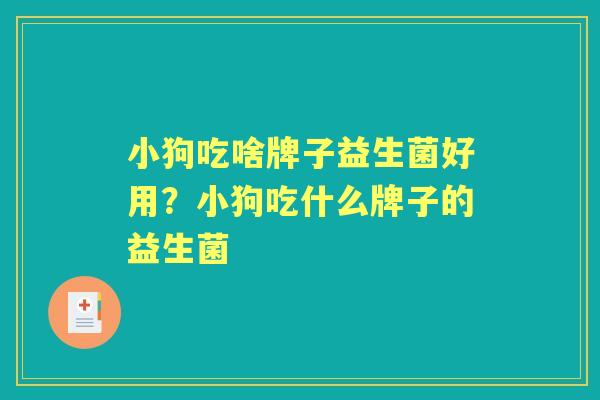 小狗吃啥牌子益生菌好用？小狗吃什么牌子的益生菌