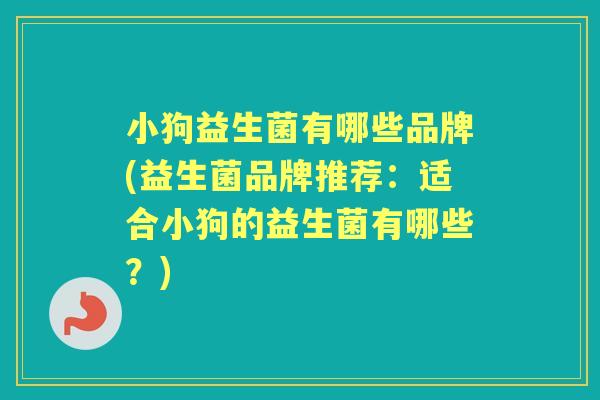 小狗益生菌有哪些品牌(益生菌品牌推荐:适合小狗的益生菌有哪些?) 小狗益生菌有哪些品牌(益生菌品牌推荐:适合小狗的益生菌有哪些?)