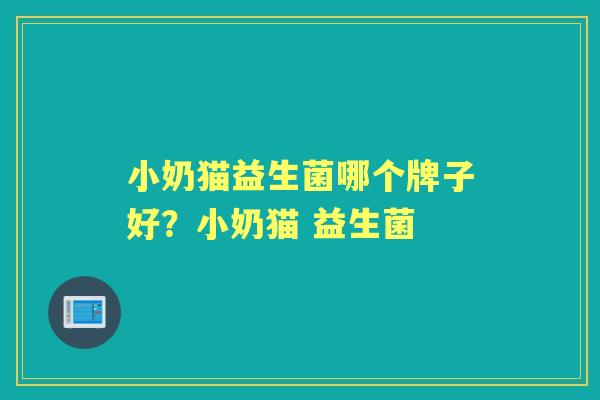 小奶猫益生菌哪个牌子好？小奶猫 益生菌