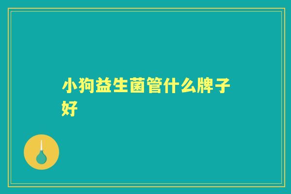 小狗益生菌管什么牌子好