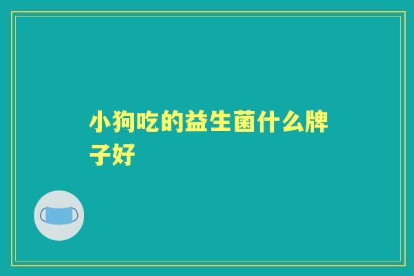 小狗吃的益生菌什么牌子好 小狗吃的益生菌什么牌子好