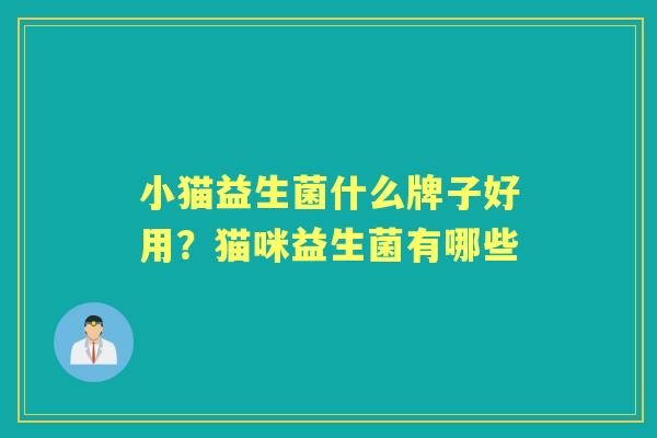 小猫益生菌什么牌子好用?猫咪益生菌有哪些 小猫益生菌什么牌子好用?猫咪益生菌有哪些