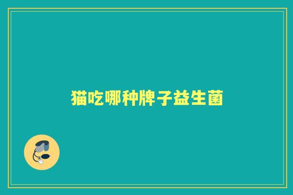 猫吃哪种牌子益生菌 猫吃哪种牌子益生菌