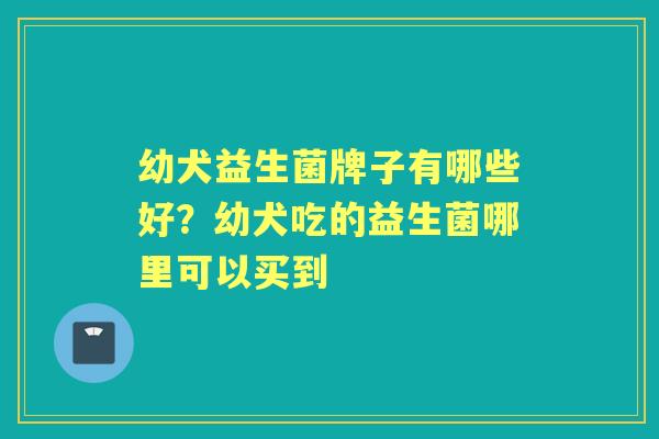 幼犬益生菌牌子有哪些好？幼犬吃的益生菌哪里可以买到