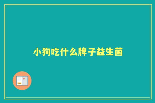 小狗吃什么牌子益生菌 小狗吃什么牌子益生菌
