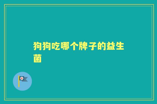 狗狗吃哪个牌子的益生菌 狗狗吃哪个牌子的益生菌