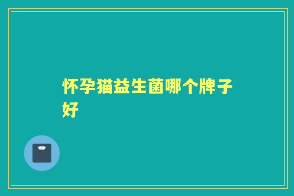 怀孕猫益生菌哪个牌子好