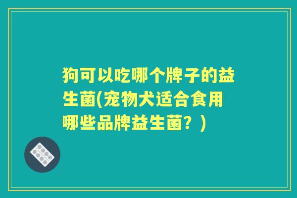 狗可以吃哪个牌子的益生菌(宠物犬适合食用哪些品牌益生菌?) 狗可以吃哪个牌子的益生菌(宠物犬适合食用哪些品牌益生菌?)